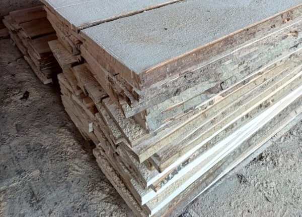 Cherestea fag netivita Romania Jud Bihor