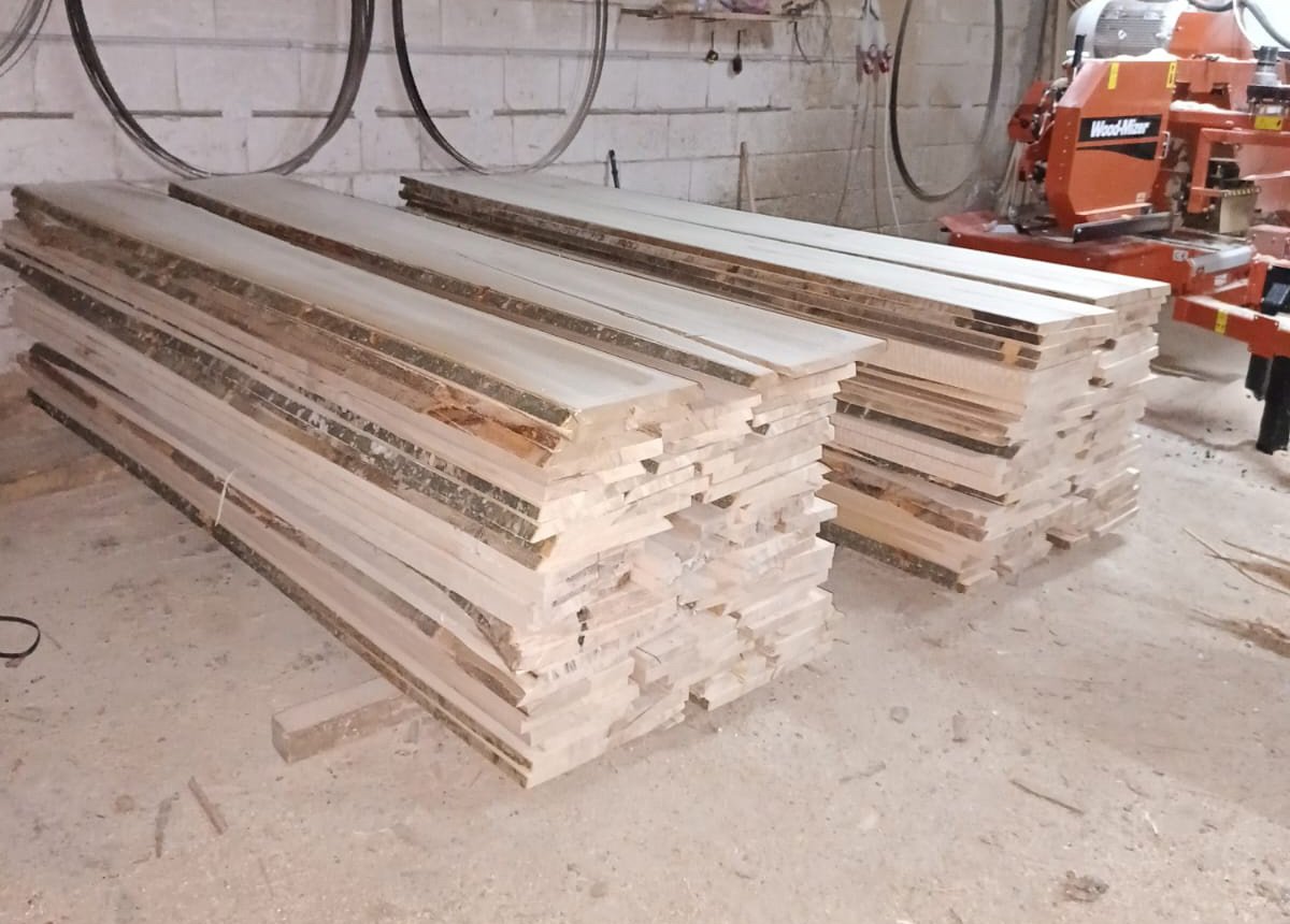 Cherestea fag netivita Romania Judetul bihor