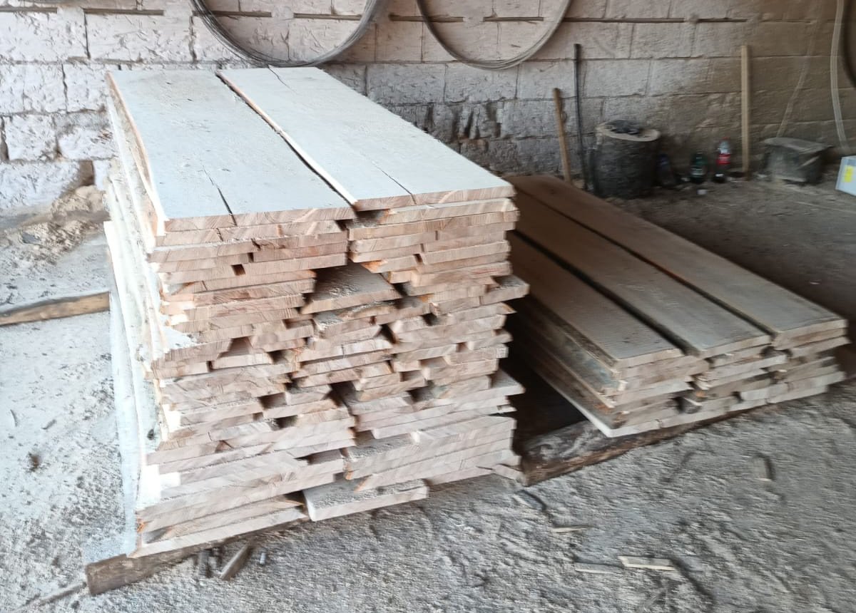 Cherestea fag netivita Romania